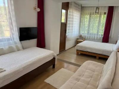 Gunebakan Taliani - 33