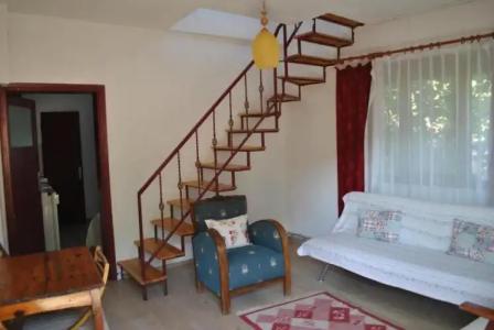 Gunebakan Taliani - 47