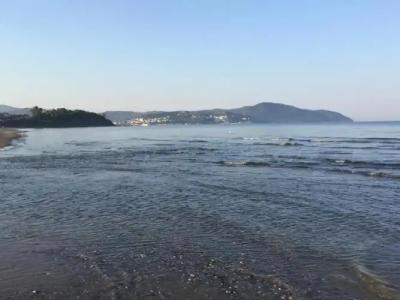 Medea Beach Resort - 39