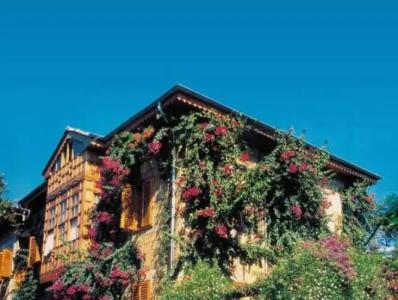 Begonville Pansiyon - 17