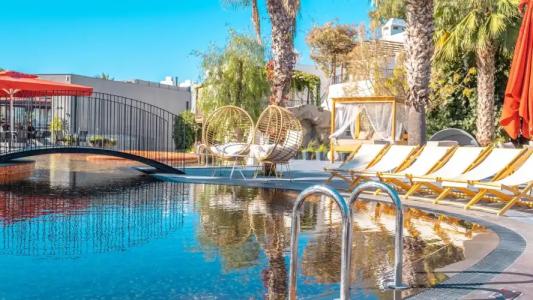 Very Chic Adult Only - 12