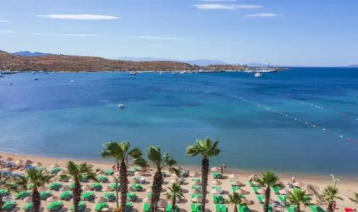 Very Chic Adult Only - 24