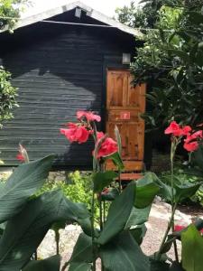 Olympos Yakamoz Pansiyon - 13