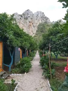 Olympos Yakamoz Pansiyon - 15