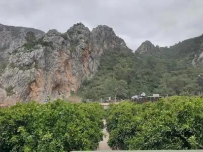 Olympos Yakamoz Pansiyon - 8