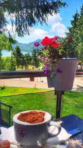 Abant Kosk Oteli - 13