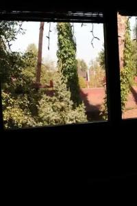 Partizan BeerLogovo - 50