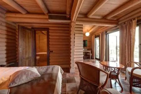 Partizan BeerLogovo - 95