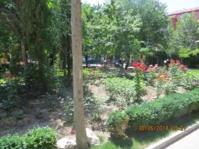 Творческая волна - 41