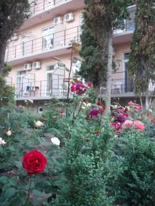 Творческая волна - 20