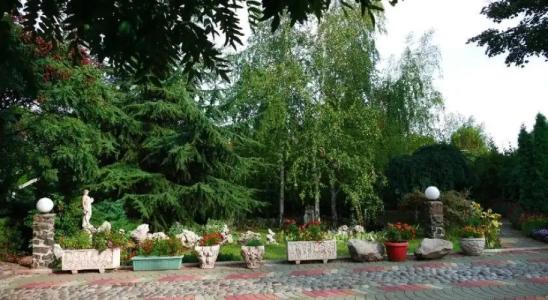 Наутилус - 25