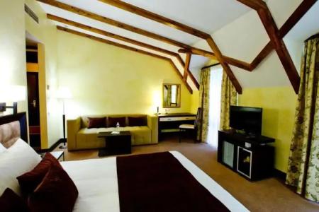 ШишкиНН Resort&Spa - 4