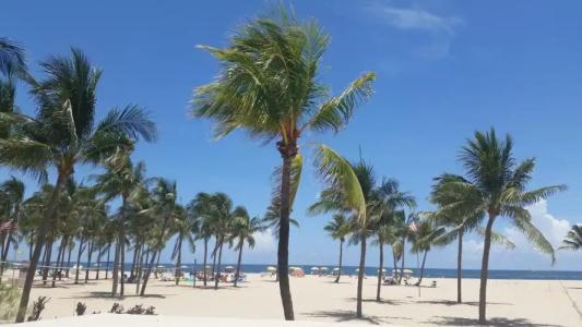 Alcazar Resort- Gay Mens Resort - 7