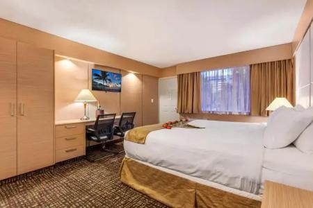 Ocean Beach Palace - 15