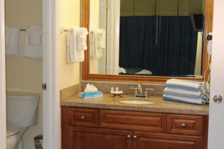 Blue Tree Resort at Lake Buena Vista - 32