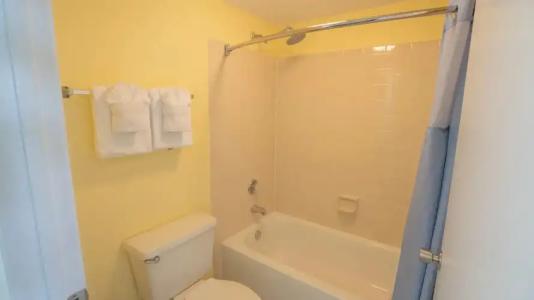 Blue Tree Resort at Lake Buena Vista - 10