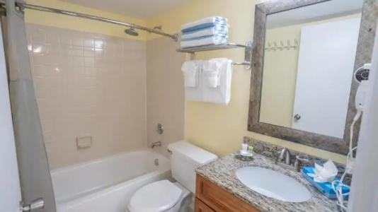 Blue Tree Resort at Lake Buena Vista - 74