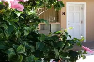 Отель «The Palms On Ocean», Помпано-Бич