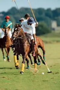 Hôtel Barrière Le Royal Deauville - 19