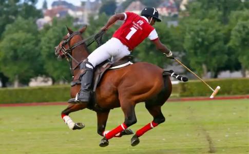 Hôtel Barrière Le Royal Deauville - 21