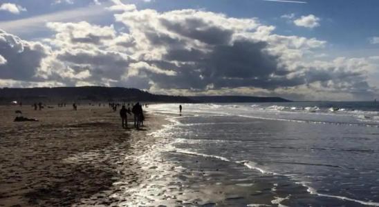 Hôtel Barrière Le Royal Deauville - 23