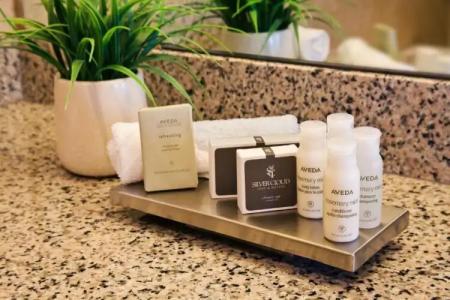 Silver Cloud - Seattle University of Washington District - 25