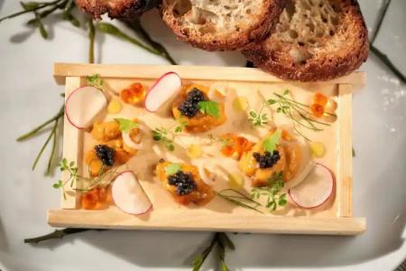 Iberostar Berkeley Shore - 12