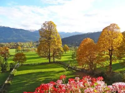 Pension Dachsteinhof - 6