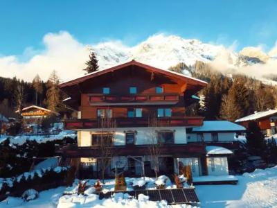 Pension Dachsteinhof - 9