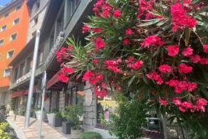 Aparthotel Conseller, Андорра-ла-Велья