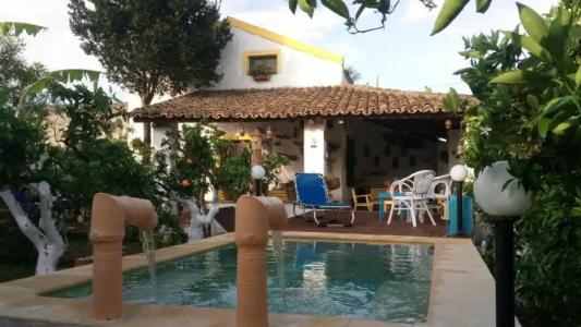 Zagara di Sicilia - 138