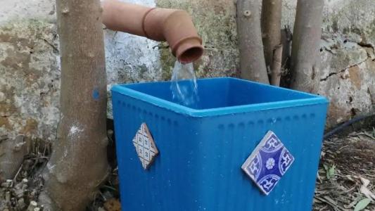 Zagara di Sicilia - 53