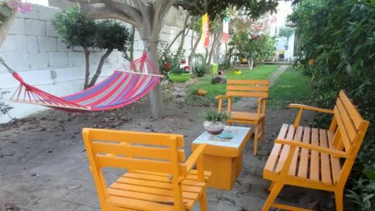 Zagara di Sicilia - 12