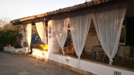 Zagara di Sicilia - 144