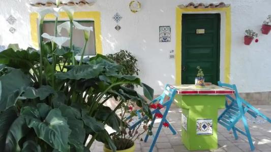 Zagara di Sicilia - 126