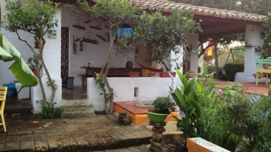 Zagara di Sicilia - 37