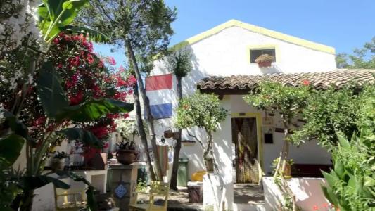 Zagara di Sicilia - 25