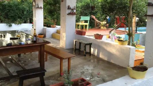 Zagara di Sicilia - 13