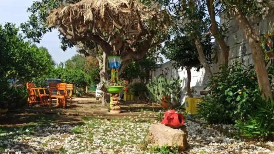 Zagara di Sicilia - 74