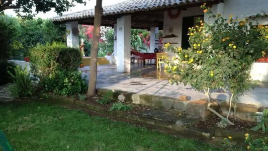 Zagara di Sicilia - 39