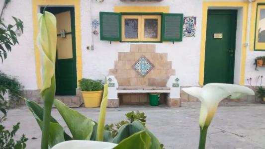 Zagara di Sicilia - 104