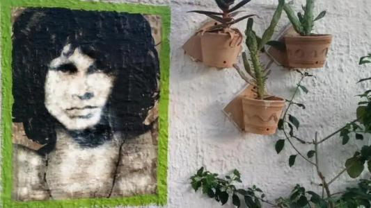 Zagara di Sicilia - 67