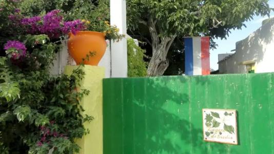 Zagara di Sicilia - 11