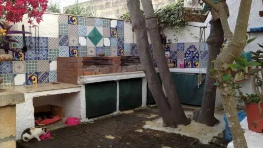 Zagara di Sicilia - 30