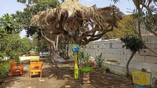 Zagara di Sicilia - 96