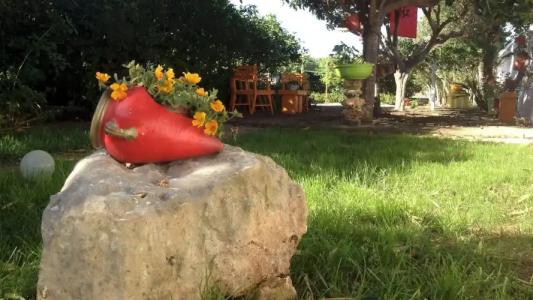 Zagara di Sicilia - 32