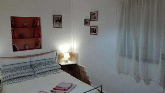 Zagara di Sicilia - 119