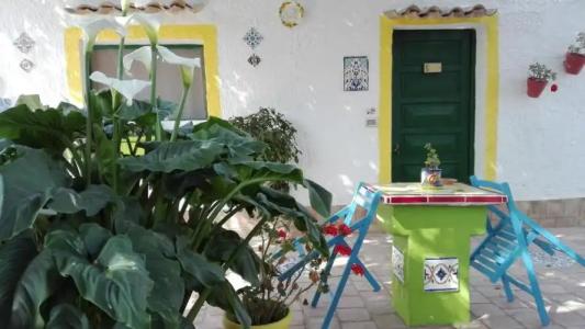 Zagara di Sicilia - 81