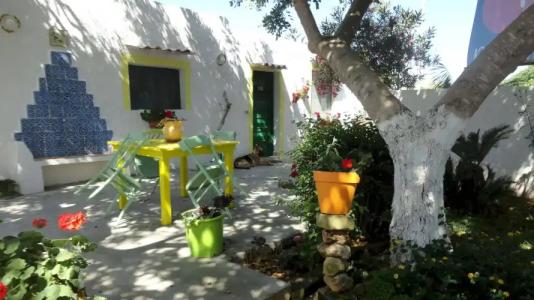 Zagara di Sicilia - 15