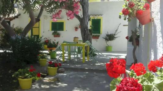 Zagara di Sicilia - 5